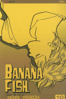 Banana Fish Volume 10