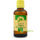 Ulei Esential De Tea Tree Arbore de Ceai 50ml