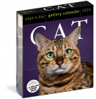 Cat Page A Day Gallery Calendar 2024