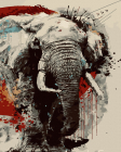 Set pictura pe numere Elefant India