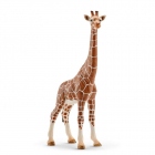 Figurina Wild Life Giraffe