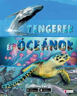 Tengerek es oceanok