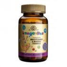 Kangavites multivitamin mineral formula berry 60tbl SOLGAR