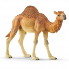 Figurina Wild Life Dromedary