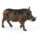 Figurina Wild Life Warthog