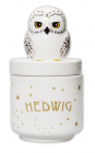 Recipient din ceramica Harry Potter Hedwig