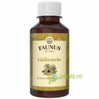 Tinctura de Galbenele 200ml