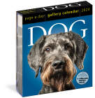 Dog Page A Day Gallery Calendar 2024