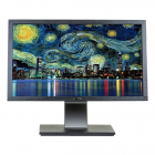 Dell P2211H 22 LED 1920 x 1080 Full HD 16 9 negru argintiu monitor ref