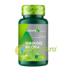 Ginkgo Biloba 240mg 60tb