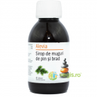 Sirop de Muguri de Pin si Brad 150ml