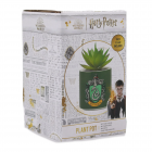 Planta decorativa Harry Potter Slytherin