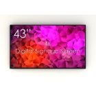 Display LED profesional digital SDS43K8 01 43 inch 6ms Black