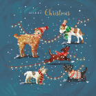 Felicitare Wild Life Paw fect Christmas