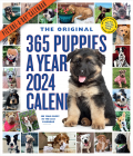 365 Puppies A Year Picture A Day Wall Calendar 2024