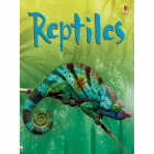Beginners Reptiles