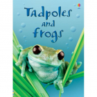 Beginners Tadpoles and Frogs
