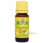 Ulei Esential De Ylang Ylang 10ml