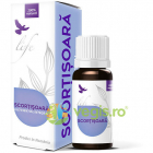 Ulei Esential de Scortisoara 10ml