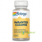 Parasites Cleanse 60cpr Secom