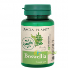 Boswellia Tamaie 60Cpr