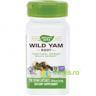 Wild Yam 100cps Secom