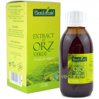 Extract Orz Verde 120ml