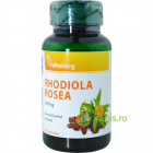 Rhodiola Root 400mg 60cps