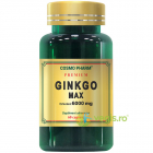 Ginkgo Max Extract 120mg echiv 6000mg 60cps Premium