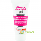 Gel Gheara Diavolului 100ml