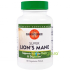 Super Lion S Mane 120cpr Secom