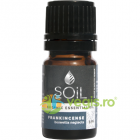 Ulei Esential de Tamaie Frankincense 5ml