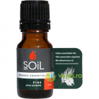 Ulei Esential de Pin Ecologic Bio 10ml