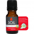 Ulei Esential de Grapefruit Ecologic Bio 10ml