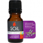 Ulei Esential de Lavanda Lavender Ecologic Bio 10ml