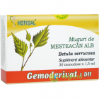 Muguri de Mesteacan Alb 30monodz