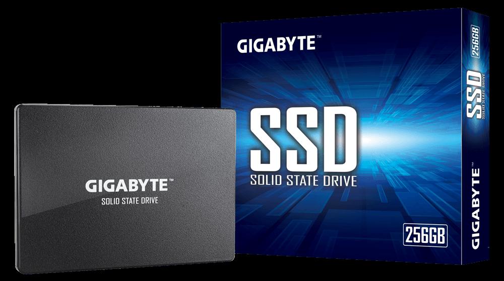 GIGABYTE GP-GSTFS31256GTND