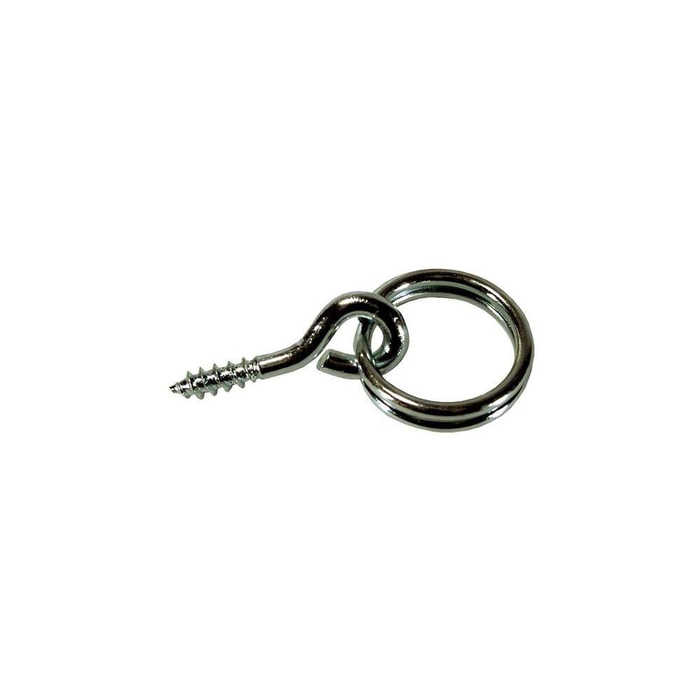 Agatator tablou cu inel, D: 10 mm, zincat