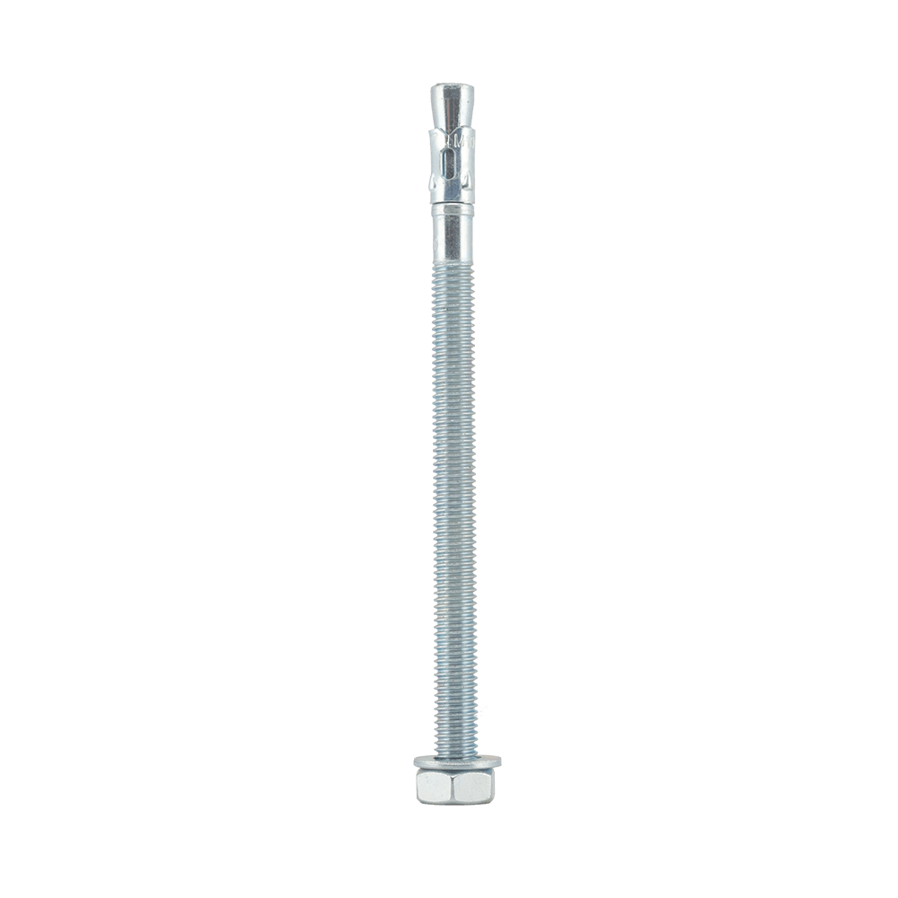 Ancora metalica, M10 x 160 mm