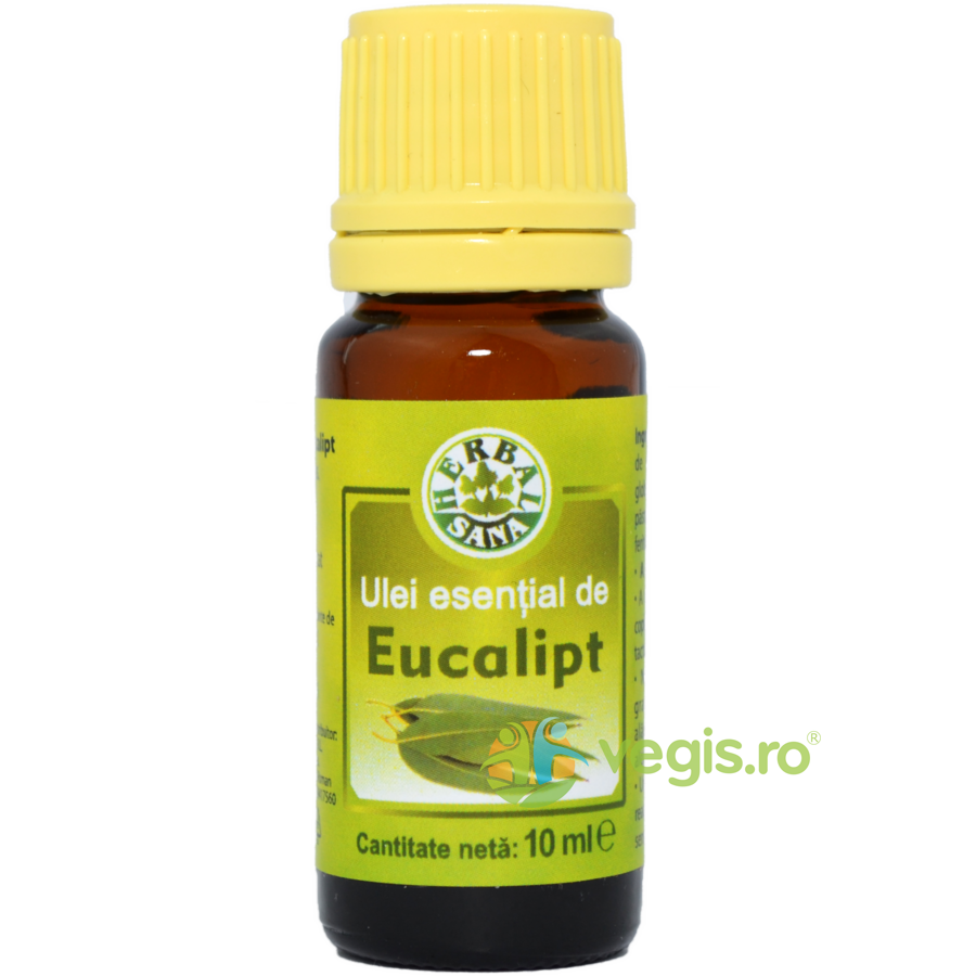 Ulei Esential De Eucalipt 10ml