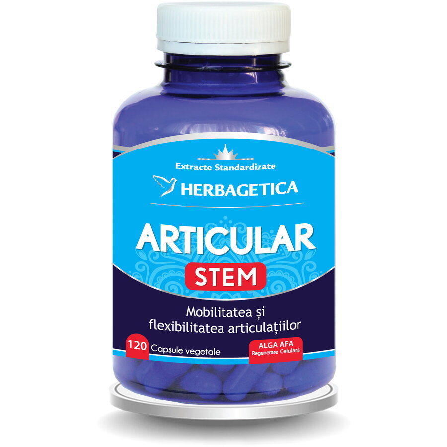 Articular Stem 120cps