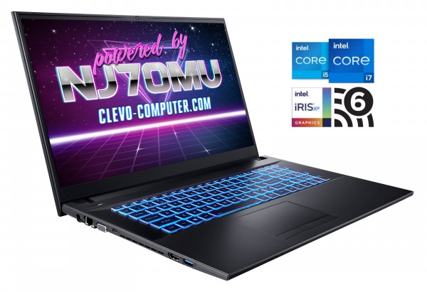 Laptop CLEVO NJ70,  Intel Core i7-1165G7, 4.70 GHz, HDD: 1000 GB SSD, RAM: 16 GB DDR4, video: Intel Iris Xe Graphics, webcam, WINDOWS 10 PRO
