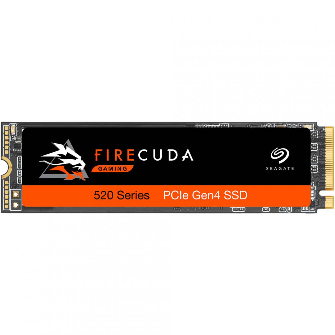 SEAGATE ZP500GM3A002