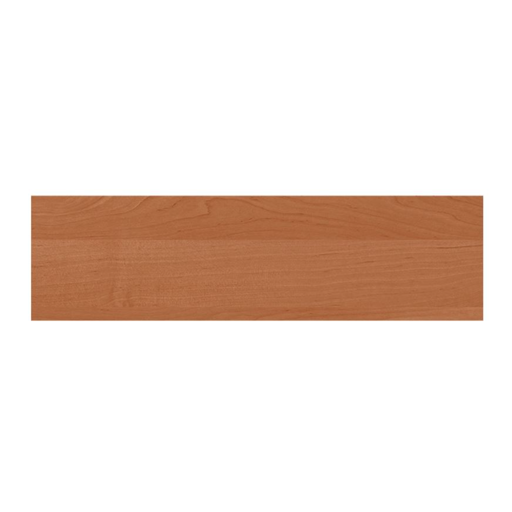 Cant ABS, Arin 1912 BS, 22 x 0.45 mm, 10 ml