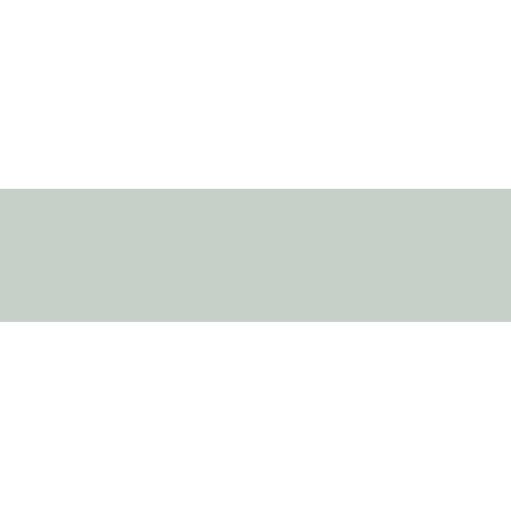 Cant ABS, Verde Pastel 7063 SU, 22 x 2 mm, 10 ml