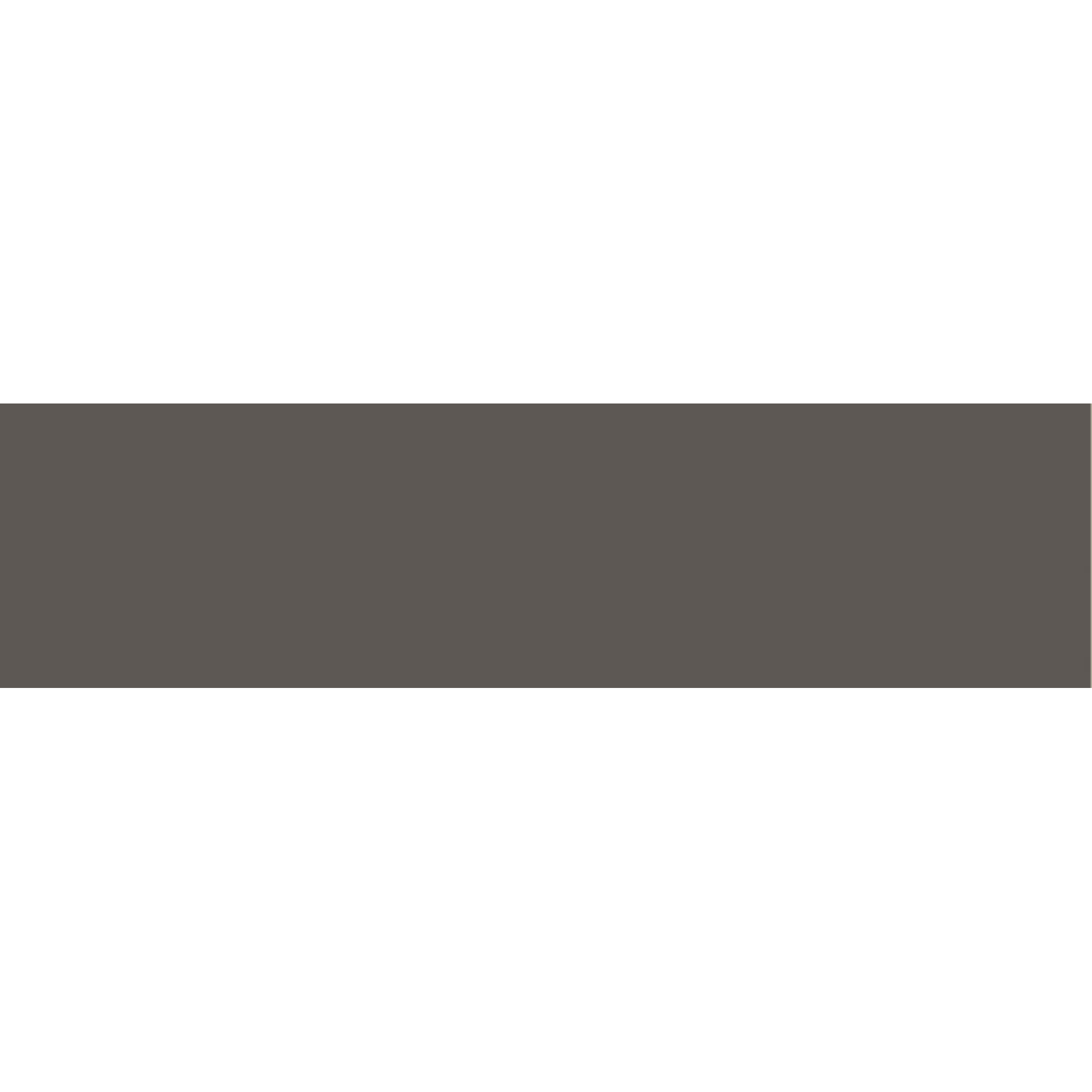 Cant ABS, Gri Cobalt 6299 BS, 22 x 2 mm, 10 ml
