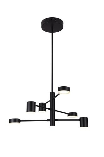 Solomon Pendule