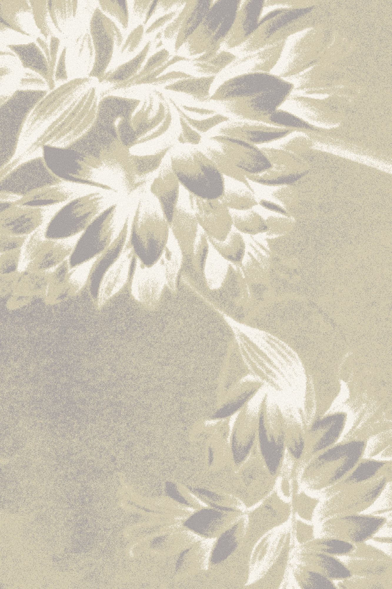 Covor lana Flowers Beige