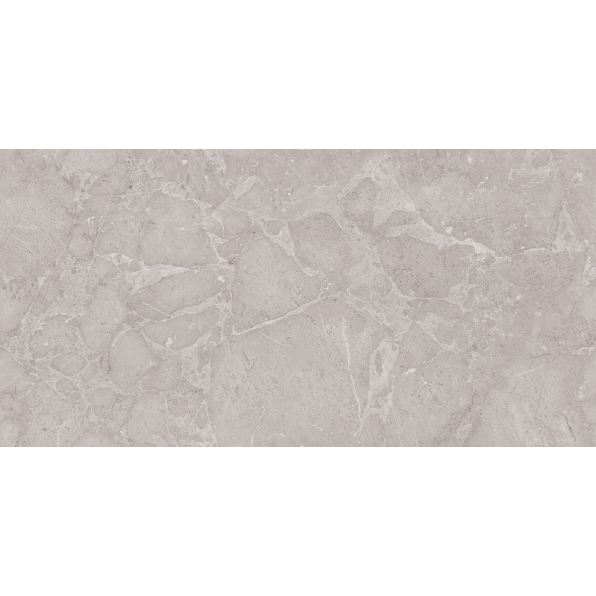 Gresie portelanata interior/exterior Ariana Dove, rectificata, lucios, gri, aspect piatra, 60 x 120 cm