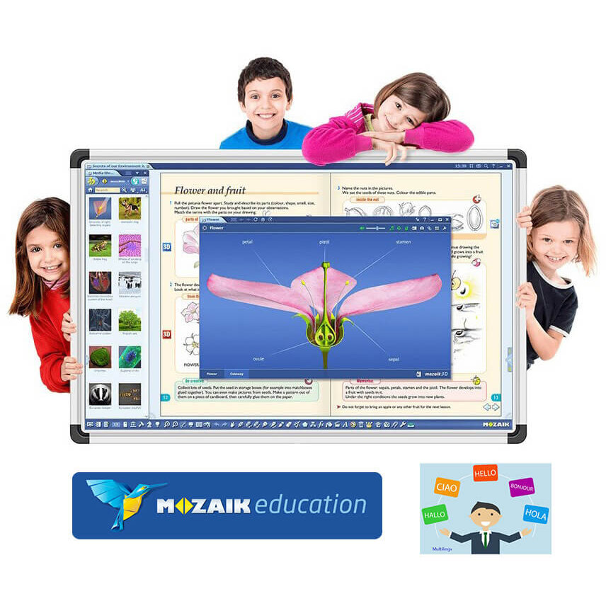 Software Educativ mozaBook Multilanguage Lectii Interactive in Timp Real Licenta 1 / 2 Ani